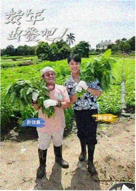 国产剧集出海签约仪式资讯配图